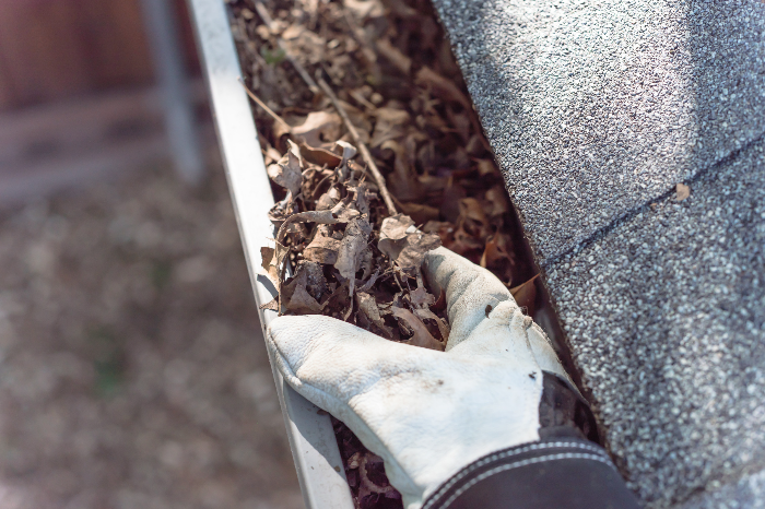 How to Maintain Your Roof in the Twin Cities for Maximum Lifespan