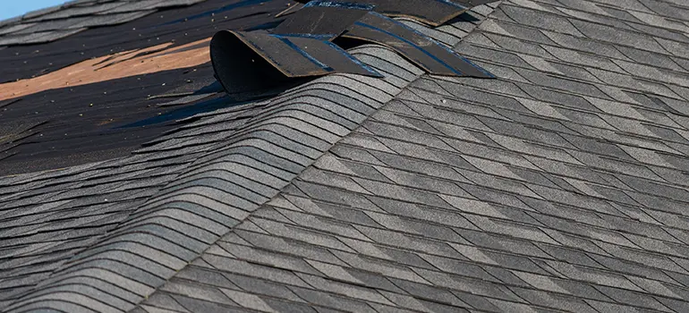 Ripped up shingles from wind storm